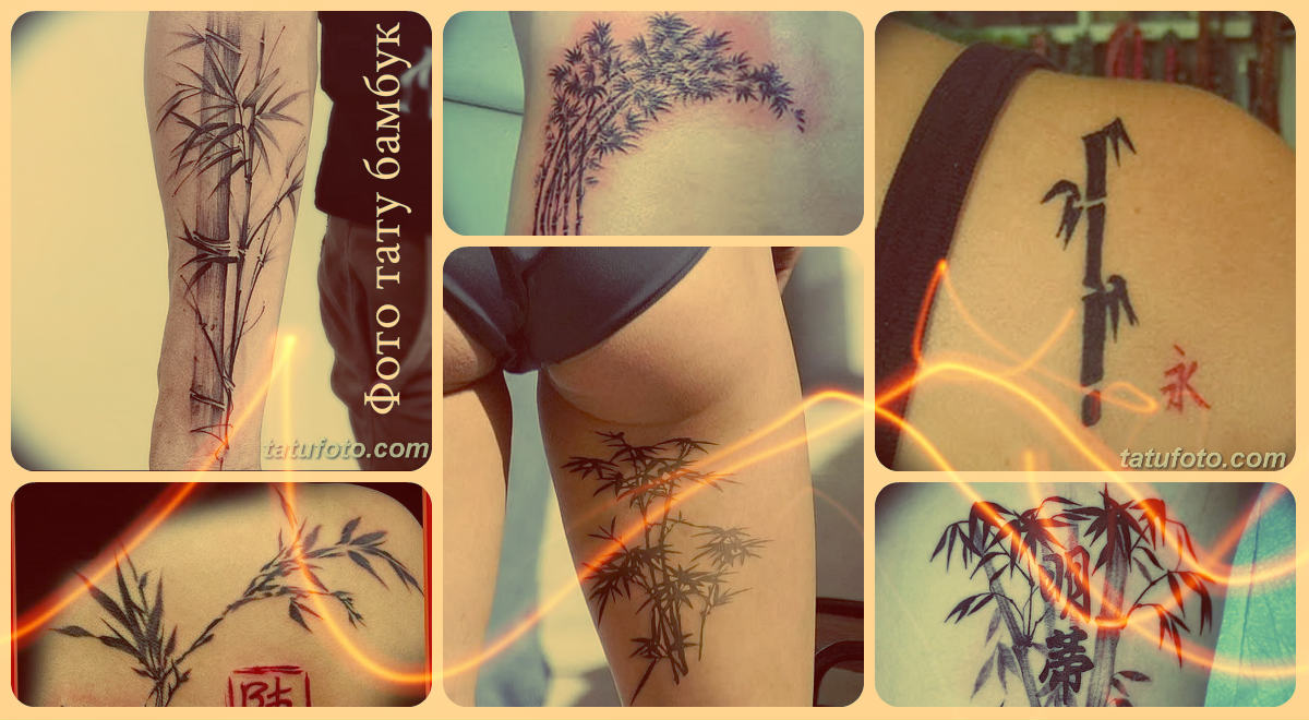Фото тату бамбук - варианты рисунков готовых татуировок - коллекция
