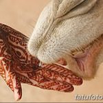 Фото тату мехенди на ладони, коричневый узор, роспись хной, контакт руки с мордой животного, традиционное искусство.