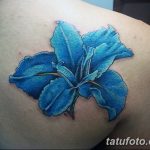 фото Синие тату от 18.10.2017 №060 - Blue Tattoos - tatufoto.com