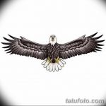 фото Эскизы тату орёл от 21.10.2017 №001 - Sketches of an eagle tattoo - tatufoto.com