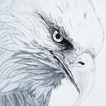фото Эскизы тату орёл от 21.10.2017 №002 - Sketches of an eagle tattoo - tatufoto.com