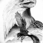 фото Эскизы тату орёл от 21.10.2017 №009 - Sketches of an eagle tattoo - tatufoto.com