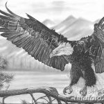 фото Эскизы тату орёл от 21.10.2017 №012 - Sketches of an eagle tattoo - tatufoto.com