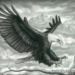 фото Эскизы тату орёл от 21.10.2017 №015 - Sketches of an eagle tattoo - tatufoto.com