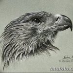фото Эскизы тату орёл от 21.10.2017 №016 - Sketches of an eagle tattoo - tatufoto.com