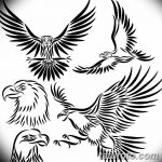 фото Эскизы тату орёл от 21.10.2017 №017 - Sketches of an eagle tattoo - tatufoto.com 234235234