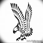 фото Эскизы тату орёл от 21.10.2017 №019 - Sketches of an eagle tattoo - tatufoto.com
