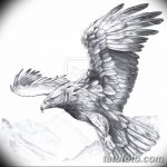 фото Эскизы тату орёл от 21.10.2017 №020 - Sketches of an eagle tattoo - tatufoto.com