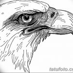 фото Эскизы тату орёл от 21.10.2017 №021 - Sketches of an eagle tattoo - tatufoto.com