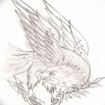 фото Эскизы тату орёл от 21.10.2017 №025 - Sketches of an eagle tattoo - tatufoto.com