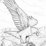 фото Эскизы тату орёл от 21.10.2017 №029 - Sketches of an eagle tattoo - tatufoto.com