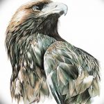 фото Эскизы тату орёл от 21.10.2017 №032 - Sketches of an eagle tattoo - tatufoto.com