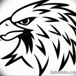 фото Эскизы тату орёл от 21.10.2017 №034 - Sketches of an eagle tattoo - tatufoto.com