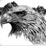 фото Эскизы тату орёл от 21.10.2017 №035 - Sketches of an eagle tattoo - tatufoto.com