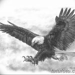 фото Эскизы тату орёл от 21.10.2017 №042 - Sketches of an eagle tattoo - tatufoto.com
