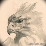 фото Эскизы тату орёл от 21.10.2017 №043 - Sketches of an eagle tattoo - tatufoto.com