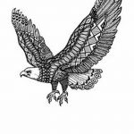фото Эскизы тату орёл от 21.10.2017 №044 - Sketches of an eagle tattoo - tatufoto.com