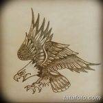 фото Эскизы тату орёл от 21.10.2017 №046 - Sketches of an eagle tattoo - tatufoto.com