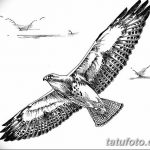фото Эскизы тату орёл от 21.10.2017 №048 - Sketches of an eagle tattoo - tatufoto.com