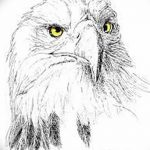 фото Эскизы тату орёл от 21.10.2017 №050 - Sketches of an eagle tattoo - tatufoto.com
