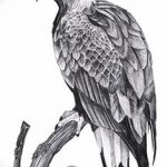 фото Эскизы тату орёл от 21.10.2017 №051 - Sketches of an eagle tattoo - tatufoto.com