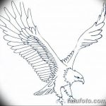 фото Эскизы тату орёл от 21.10.2017 №052 - Sketches of an eagle tattoo - tatufoto.com