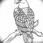 фото Эскизы тату орёл от 21.10.2017 №055 - Sketches of an eagle tattoo - tatufoto.com