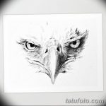 фото Эскизы тату орёл от 21.10.2017 №056 - Sketches of an eagle tattoo - tatufoto.com
