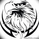 фото Эскизы тату орёл от 21.10.2017 №057 - Sketches of an eagle tattoo - tatufoto.com