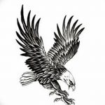 фото Эскизы тату орёл от 21.10.2017 №059 - Sketches of an eagle tattoo - tatufoto.com