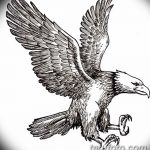 фото Эскизы тату орёл от 21.10.2017 №069 - Sketches of an eagle tattoo - tatufoto.com
