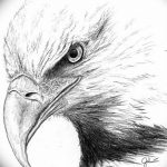 фото Эскизы тату орёл от 21.10.2017 №070 - Sketches of an eagle tattoo - tatufoto.com