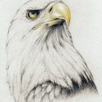 фото Эскизы тату орёл от 21.10.2017 №072 - Sketches of an eagle tattoo - tatufoto.com