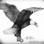 фото Эскизы тату орёл от 21.10.2017 №074 - Sketches of an eagle tattoo - tatufoto.com