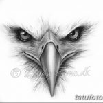 фото Эскизы тату орёл от 21.10.2017 №081 - Sketches of an eagle tattoo - tatufoto.com