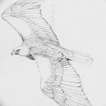 фото Эскизы тату орёл от 21.10.2017 №083 - Sketches of an eagle tattoo - tatufoto.com