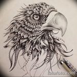 фото Эскизы тату орёл от 21.10.2017 №084 - Sketches of an eagle tattoo - tatufoto.com