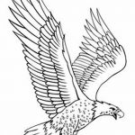 фото Эскизы тату орёл от 21.10.2017 №085 - Sketches of an eagle tattoo - tatufoto.com