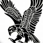 фото Эскизы тату орёл от 21.10.2017 №086 - Sketches of an eagle tattoo - tatufoto.com