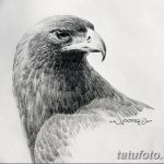 фото Эскизы тату орёл от 21.10.2017 №091 - Sketches of an eagle tattoo - tatufoto.com