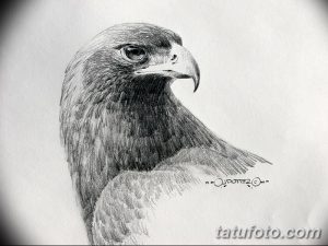 Черно-белое фото эскиза тату с изображением головы орла. Реалистичный рисунок татуировки, выполненный карандашом, с акцентом на оперение и взгляд.