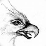 фото Эскизы тату орёл от 21.10.2017 №092 - Sketches of an eagle tattoo - tatufoto.com