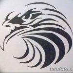 фото Эскизы тату орёл от 21.10.2017 №094 - Sketches of an eagle tattoo - tatufoto.com