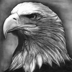 фото Эскизы тату орёл от 21.10.2017 №096 - Sketches of an eagle tattoo - tatufoto.com