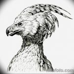 фото Эскизы тату орёл от 21.10.2017 №098 - Sketches of an eagle tattoo - tatufoto.com