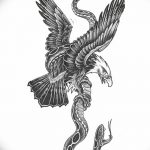 фото Эскизы тату орёл от 21.10.2017 №100 - Sketches of an eagle tattoo - tatufoto.com