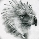 фото Эскизы тату орёл от 21.10.2017 №101 - Sketches of an eagle tattoo - tatufoto.com