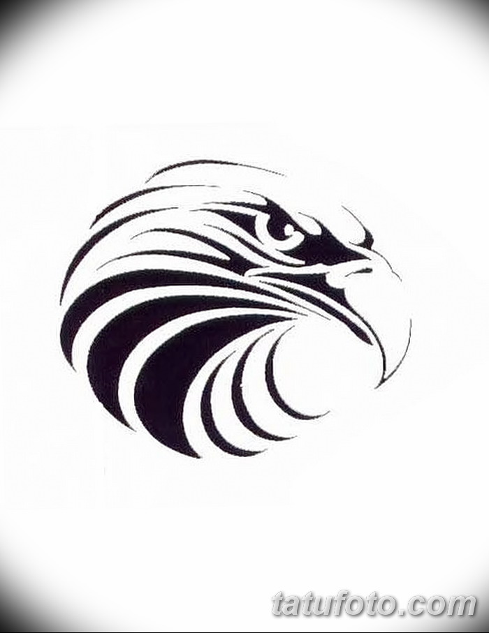 фото Эскизы тату орёл от 21.10.2017 №105 - Sketches of an eagle tattoo - tatufoto.com