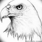 фото Эскизы тату орёл от 21.10.2017 №106 - Sketches of an eagle tattoo - tatufoto.com