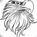 фото Эскизы тату орёл от 21.10.2017 №110 - Sketches of an eagle tattoo - tatufoto.com
